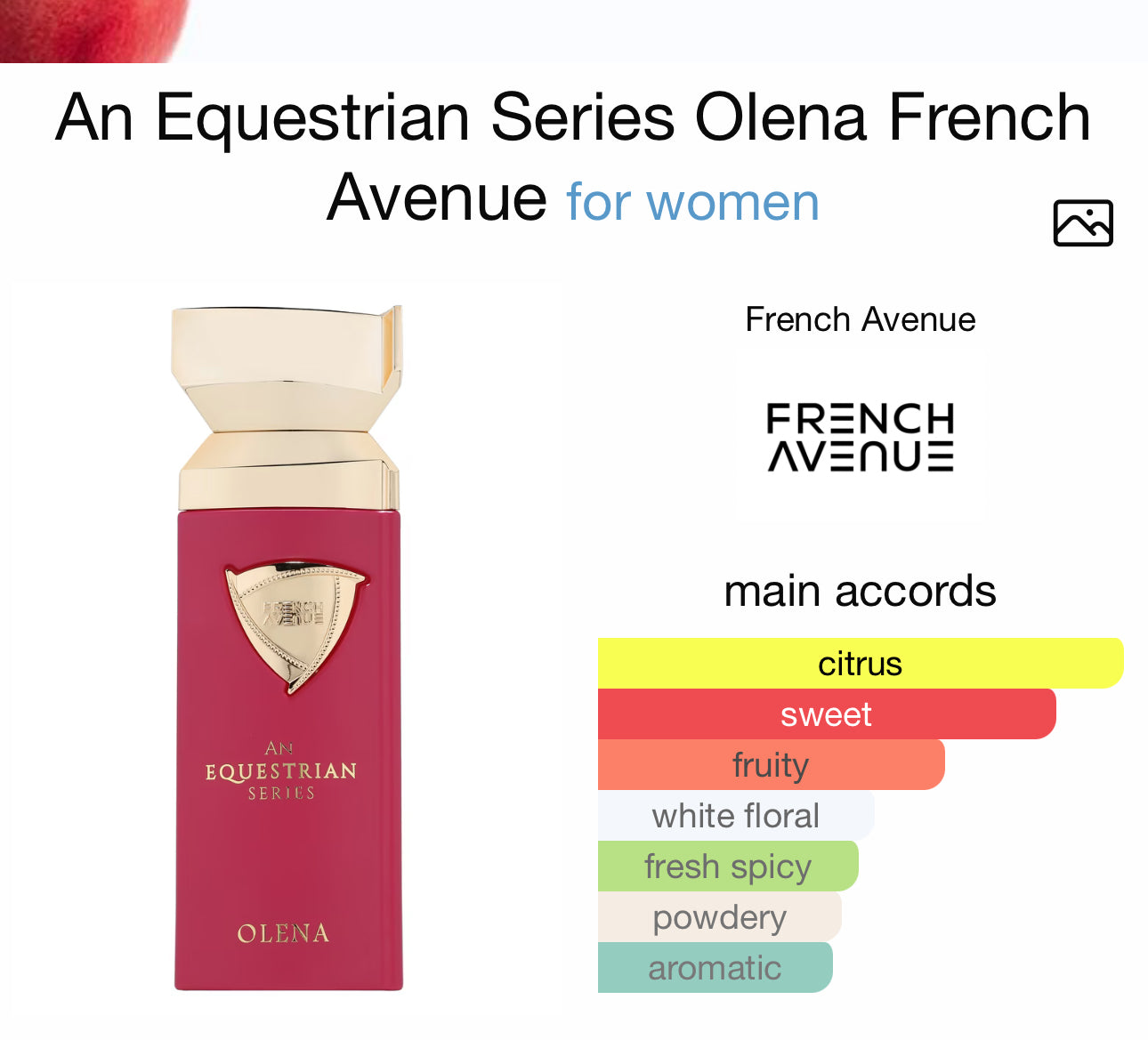An Equestrian Series Olena French Avenue for women